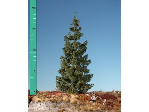 Silhouette Green spruce - Summer - 0 (< ca. 8cm) (173-02)