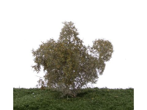 Silhouette Filigree bushes Birch - Early fall - H0 / TT (201-13)