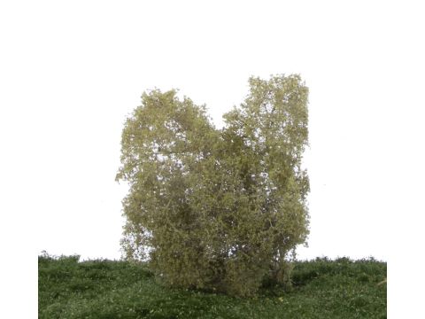 Silhouette Filigree bushes Birch - Spring - N / Z (101-11)