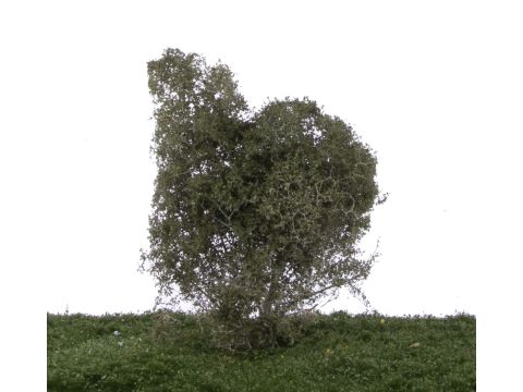 Silhouette Filigree bushes Birch - Summer - H0 / TT (201-12)