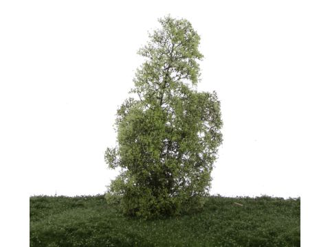 Silhouette Filigree bushes - Spring - N / Z (100-11)
