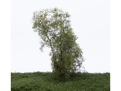 Silhouette Filigree bushes - Spring - H0 / TT (200-11S)