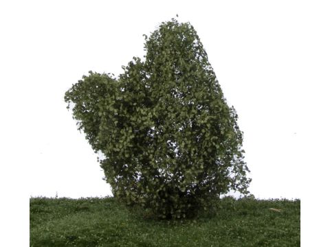 Silhouette Filigree bushes - Summer - 1:45+ (300-12S)