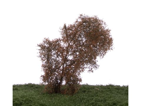 Silhouette Filigree bushes - Late fall - N / Z (100-14)