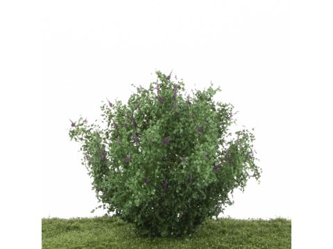 Silhouette Butterfly bush set - Dark purple (350-17)