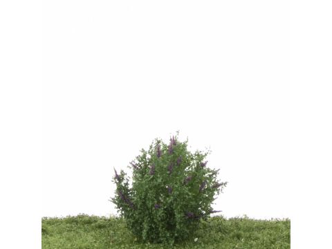 Silhouette Butterfly bush set - White/purple (351-06)