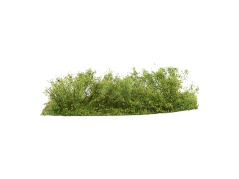 Silhouette Undergrowth - Spring - 3cm - 1:45+ (252-31)