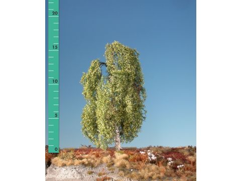 Silhouette Weeping birch - Spring - 0 (< ca. 8cm) (211-01)