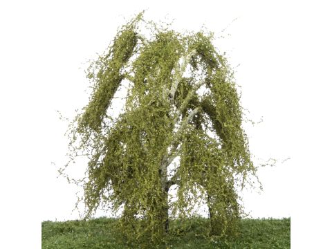 Silhouette Weeping birch - Spring - 17-22cm (211-51)