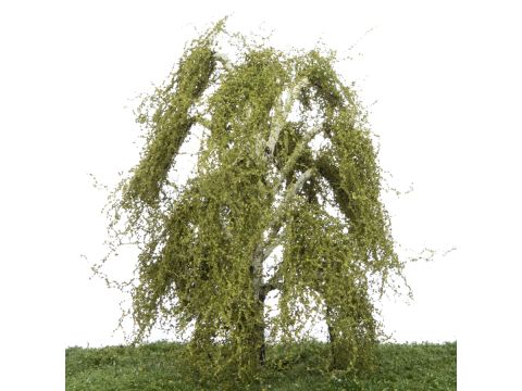 Silhouette Weeping birch - Spring - 0 (< ca. 8cm) (211-61)
