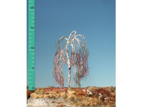 Silhouette Weeping birch - Barren - 1 (ca. 10-13cm) (211-10)