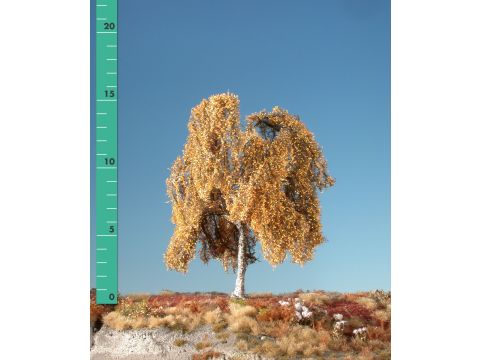 Silhouette Weeping birch - Late fall - 0 (< ca. 8cm) (211-04)