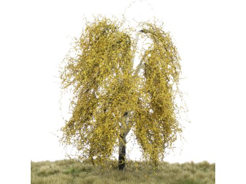 Silhouette Weeping birch - Late fall - 0 (< ca. 8cm) (211-64)