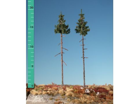 Silhouette Inside forest green spruce - Summer - 3 (ca. 22-29cm) - 1:45+ (275-32)