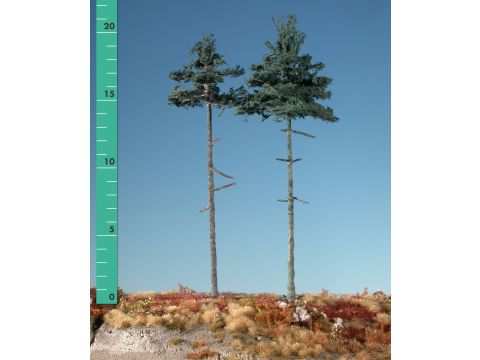 Silhouette Inside forest nordic fir - Summer - 2 (ca. 15-20cm) - H0 / TT (278-22)