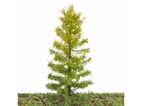 Silhouette Larch - Early fall - 20-24cm (283-000-0)