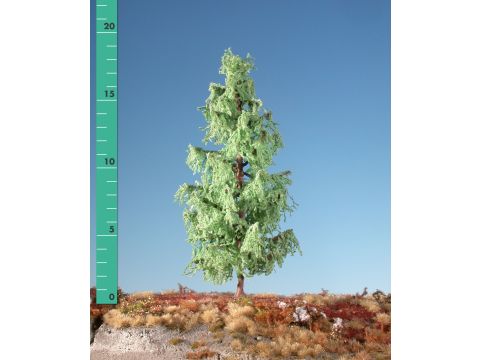 Silhouette Larch - Spring - 1 (ca. 10-13cm) - N / Z (279-11)