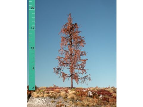 Silhouette Larch - Barren - 1 (ca. 10-13cm) (279-10)