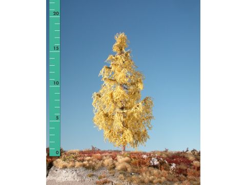 Silhouette Larch - Late fall - 1 (ca. 10-13cm) - N / Z (279-14)