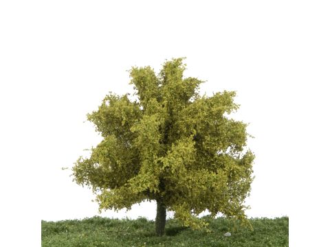 Silhouette Lime - Spring - 12-16cm (242-41)
