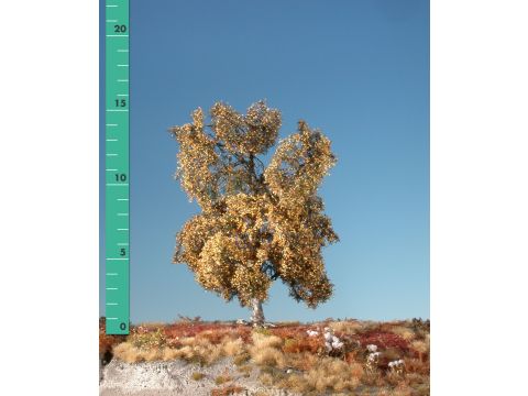 Silhouette Moor birch - Late fall - 0 (< ca. 8cm) - N / Z (110-04)