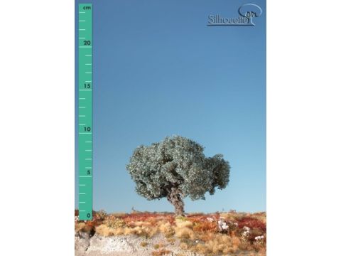 Silhouette Olive tree - Summer - 0 (< ca. 8cm) (245-02)