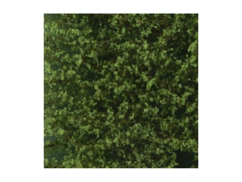 Silhouette Lombardy poplar foliage - Summer - ca. 63x50cm - N / Z (913-12G)