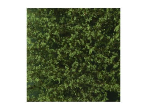 Silhouette Lombardy poplar foliage - Summer - ca. 15x4cm - N / Z (913-12S)