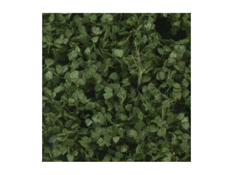 Silhouette Lombardy poplar foliage - Summer - ca. 15x4cm - 1:45+ (913-32S)