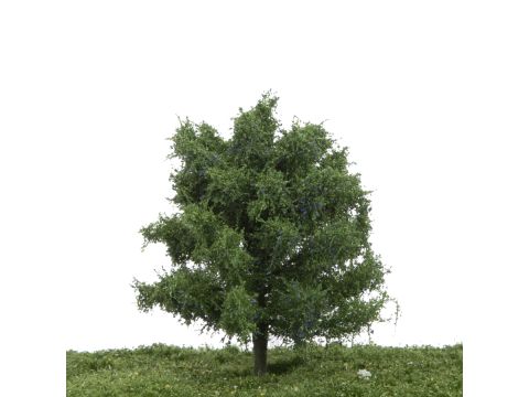 Silhouette Plum tree - Summer - 12-16cm (229-42)