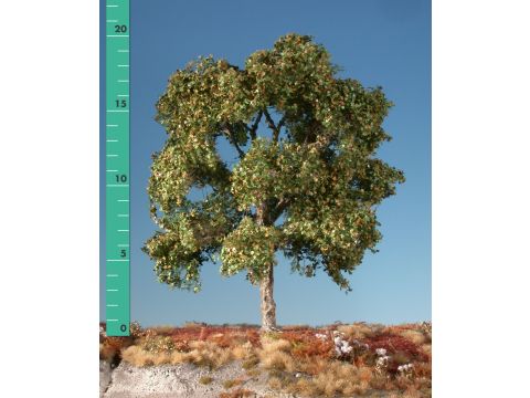 Silhouette Plane tree - Early fall - 2 (ca. 15-20cm) - H0 / TT (233-23)