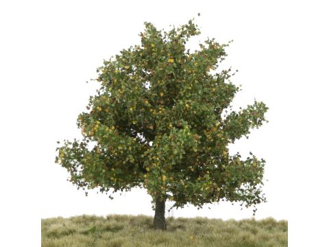 Silhouette Plane tree - Early fall - 17-22cm (233-53)