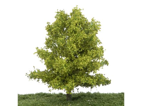 Silhouette Plane tree - Spring - 17-22cm (233-51)