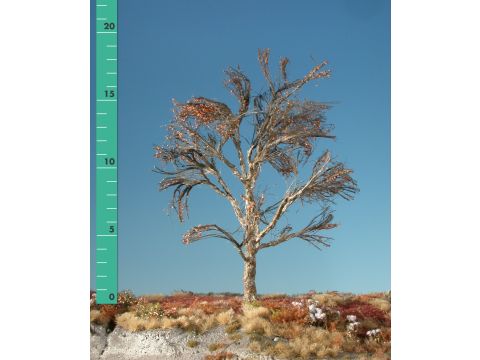 Silhouette Plane tree - Barren - 2 (ca. 15-20cm) (233-20)