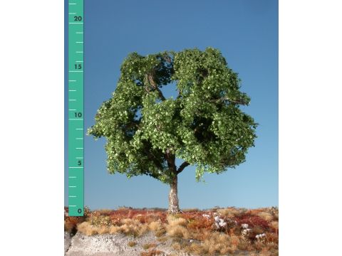 Silhouette Plane tree - Summer - 0 (< ca. 8cm) (233-02)