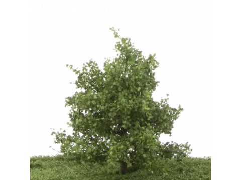 Silhouette Plane tree - Summer - 12-16cm (233-42)