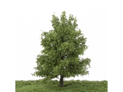 Silhouette Plane tree - Summer - 17-22cm (233-52)