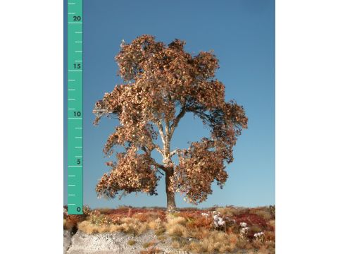 Silhouette Plane tree - Late fall - 0 (< ca. 8cm) (233-04)