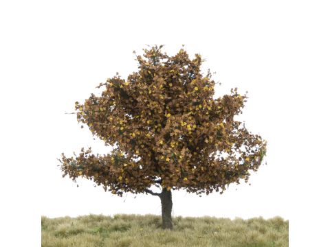 Silhouette Plane tree - Late fall - 12-16cm (233-44)