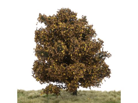 Silhouette Plane tree - Late fall - 17-22cm (233-54)