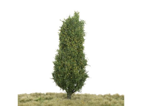 Silhouette Lombardy poplar - Early fall - 0 (< ca. 8cm) (213-63)