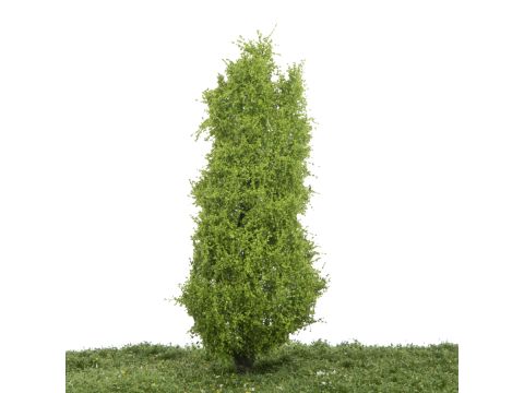 Silhouette Lombardy poplar - Spring - 0 (< ca. 8cm) (213-61)