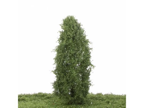 Silhouette Lombardy poplar - Summer - 12-16cm (213-42)
