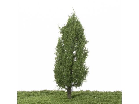 Silhouette Lombardy poplar - Summer - 0 (< ca. 8cm) (213-62)
