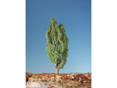 Silhouette Lombardy poplar - Summer - 30-34cm (313-002-2)