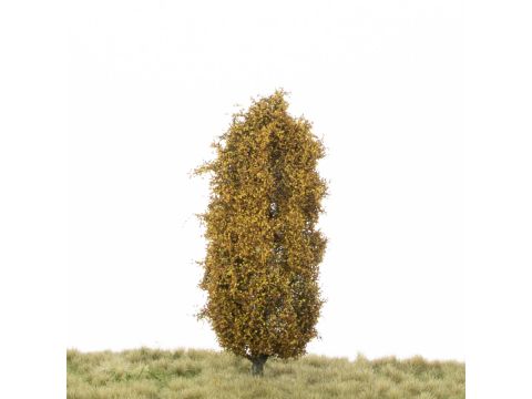 Silhouette Lombardy poplar - Late fall - 12-16cm (213-44)