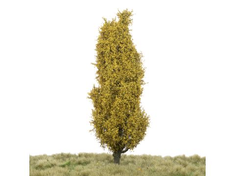 Silhouette Lombardy poplar - Late fall - 17-22cm (213-54)