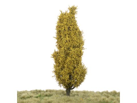 Silhouette Lombardy poplar - Late fall - 0 (< ca. 8cm) (213-64)