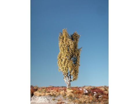 Silhouette Lombardy poplar - Late fall - ca. 62cm (313-54)