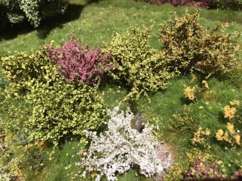 Silhouette Shrubs assortment - Blooming - 0/1 (352-05)